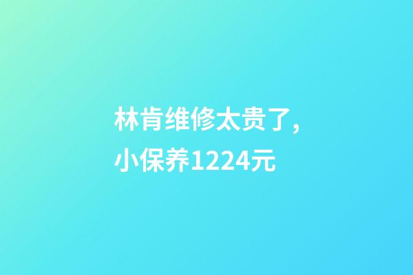 林肯维修太贵了,小保养1224元-第1张-观点-玄机派