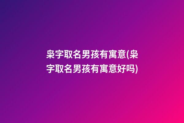 枭字取名男孩有寓意(枭字取名男孩有寓意好吗)