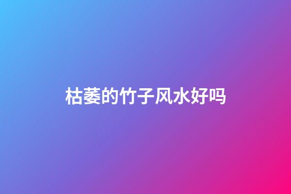 枯萎的竹子风水好吗