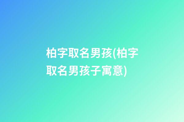 柏字取名男孩(柏字取名男孩子寓意)