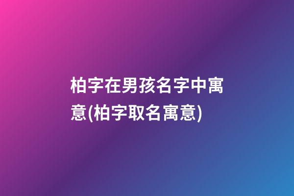 柏字在男孩名字中寓意(柏字取名寓意)