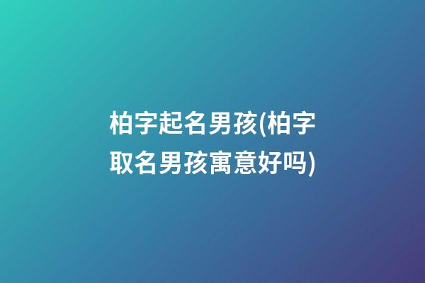 柏字起名男孩(柏字取名男孩寓意好吗)