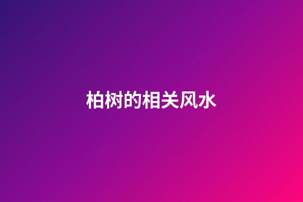 柏树的相关风水