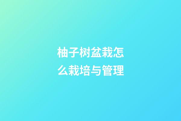 柚子树盆栽怎么栽培与管理