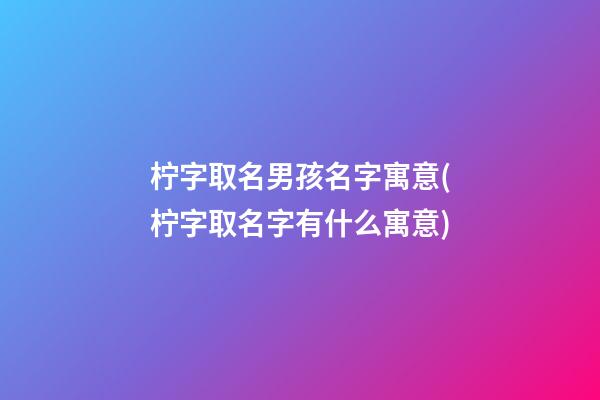 柠字取名男孩名字寓意(柠字取名字有什么寓意)