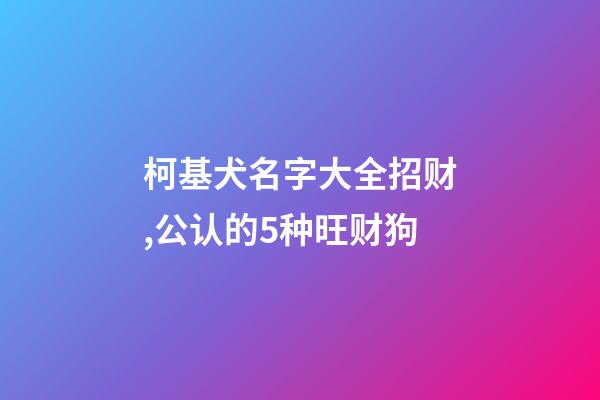 柯基犬名字大全招财,公认的5种旺财狗-第1张-观点-玄机派