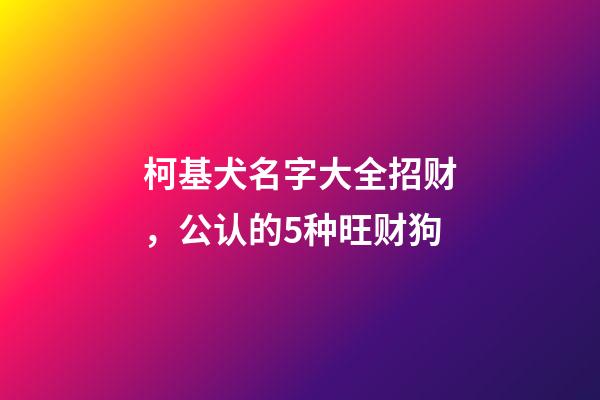 柯基犬名字大全招财，公认的5种旺财狗-第1张-观点-玄机派
