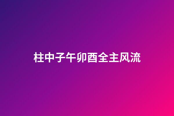 柱中子午卯酉全主风流