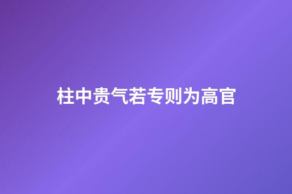 柱中贵气若专则为高官