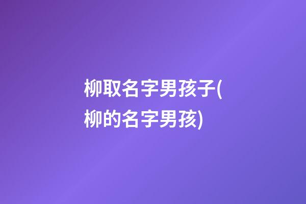 柳取名字男孩子(柳的名字男孩)