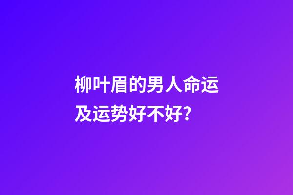 柳叶眉的男人命运及运势好不好？
