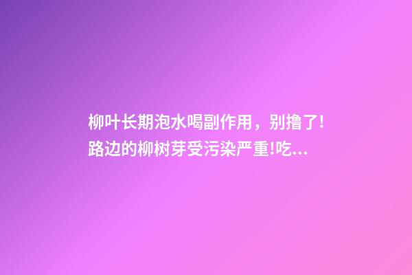 柳叶长期泡水喝副作用，别撸了!路边的柳树芽受污染严重!吃错了反受其害-第1张-观点-玄机派