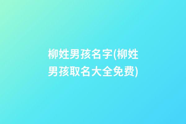 柳姓男孩名字(柳姓男孩取名大全免费)