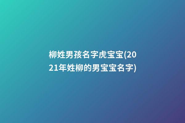 柳姓男孩名字虎宝宝(2021年姓柳的男宝宝名字)