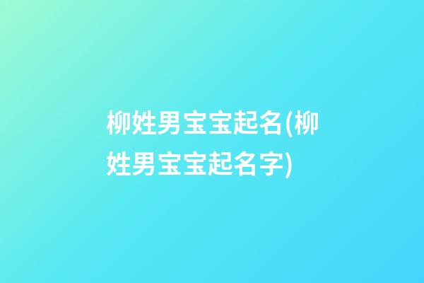 柳姓男宝宝起名(柳姓男宝宝起名字)