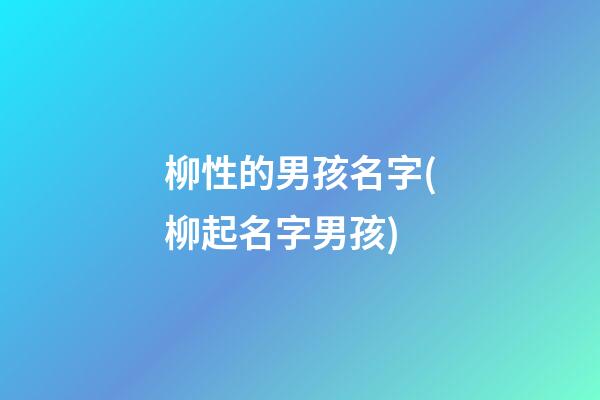 柳性的男孩名字(柳起名字男孩)