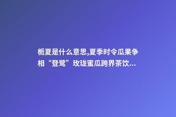 栀夏是什么意思,夏季时令瓜果争相“登鹭”玫珑蜜瓜跨界茶饮圈-第1张-观点-玄机派