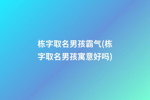 栋字取名男孩霸气(栋字取名男孩寓意好吗)