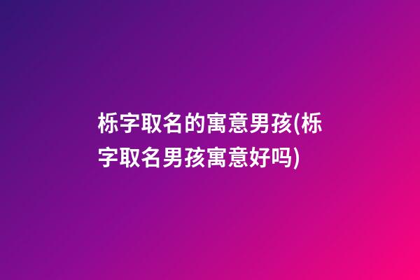 栎字取名的寓意男孩(栎字取名男孩寓意好吗)