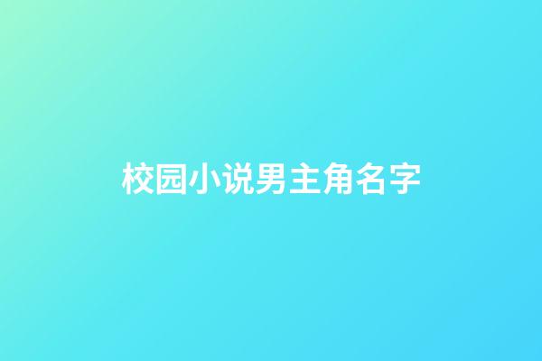 校园小说男主角名字