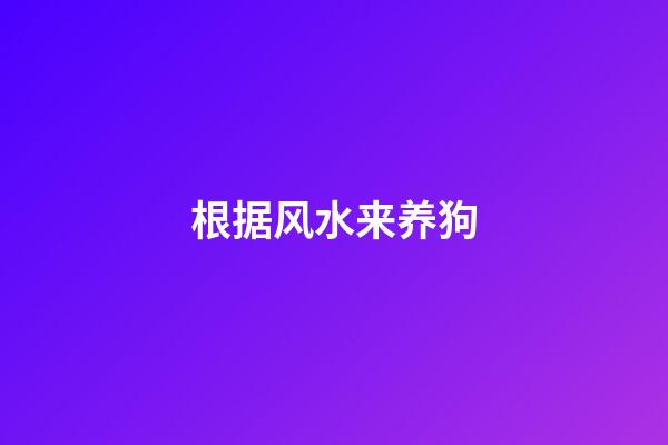 根据风水来养狗
