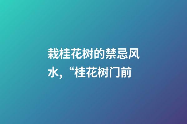 栽桂花树的禁忌风水,“桂花树门前-第1张-观点-玄机派