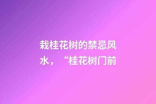 栽桂花树的禁忌风水，“桂花树门前-第1张-观点-玄机派