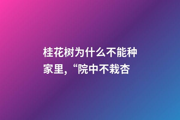 桂花树为什么不能种家里,“院中不栽杏-第1张-观点-玄机派