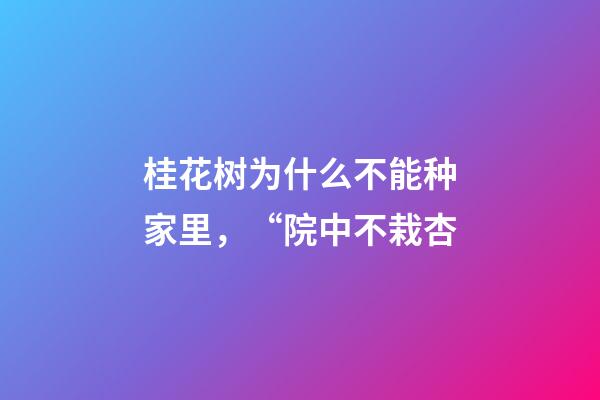 桂花树为什么不能种家里，“院中不栽杏-第1张-观点-玄机派