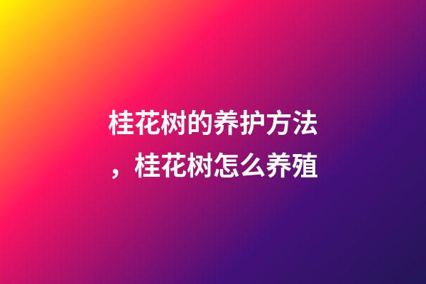 桂花树的养护方法，桂花树怎么养殖-第1张-观点-玄机派