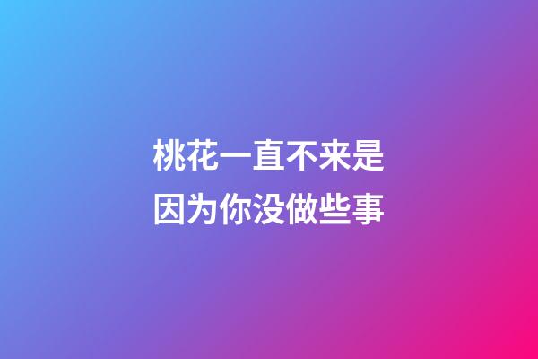 桃花一直不来是因为你没做些事