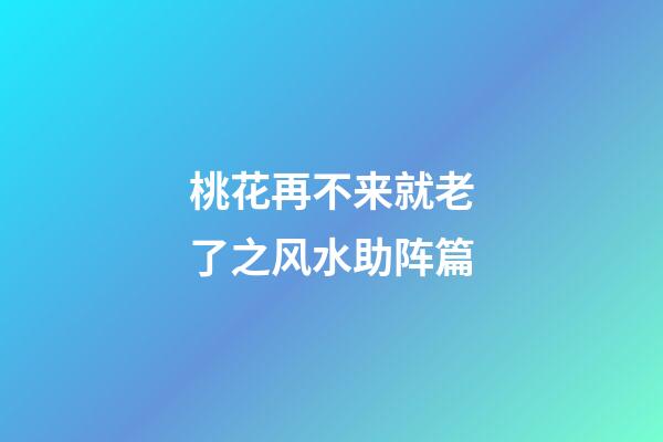 桃花再不来就老了之风水助阵篇