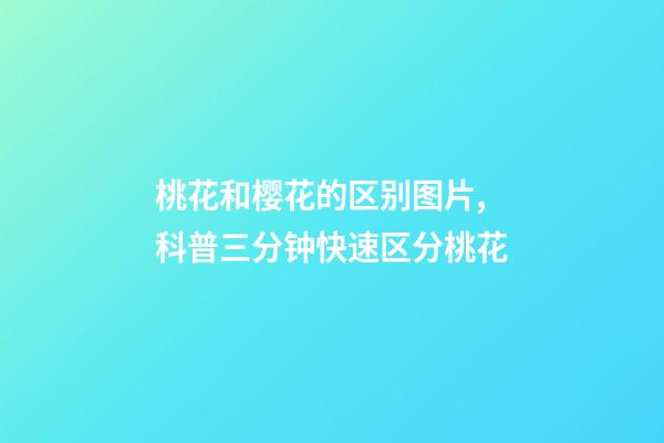 桃花和樱花的区别图片,科普三分钟快速区分桃花-第1张-观点-玄机派
