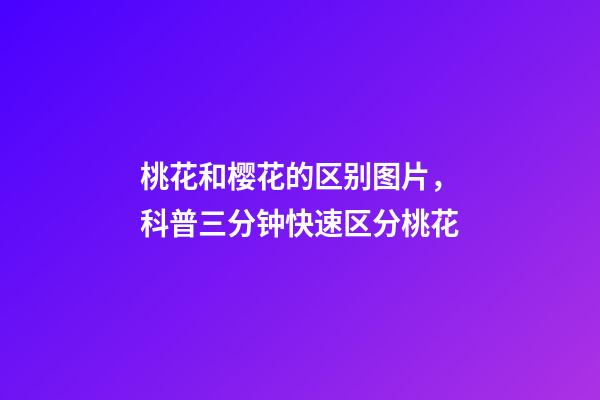 桃花和樱花的区别图片，科普三分钟快速区分桃花-第1张-观点-玄机派