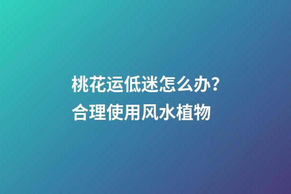 桃花运低迷怎么办？合理使用风水植物