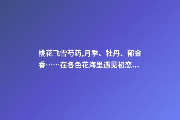 桃花飞雪芍药,月季、牡丹、郁金香……在各色花海里遇见初恋般的浪漫-第1张-观点-玄机派