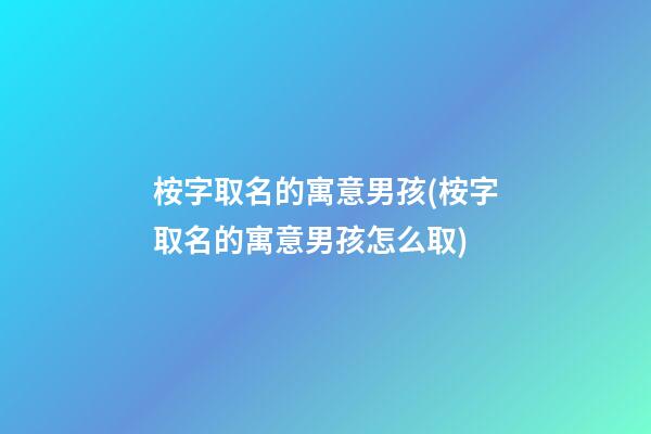 桉字取名的寓意男孩(桉字取名的寓意男孩怎么取)
