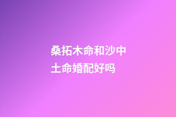 桑拓木命和沙中土命婚配好吗