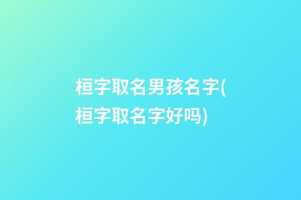 桓字取名男孩名字(桓字取名字好吗)