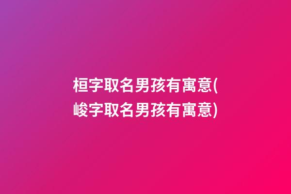 桓字取名男孩有寓意(峻字取名男孩有寓意)