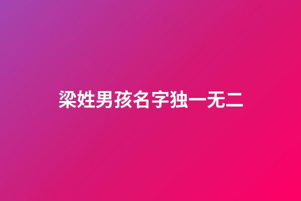 梁姓男孩名字独一无二