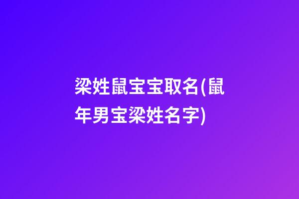 梁姓鼠宝宝取名(鼠年男宝梁姓名字)