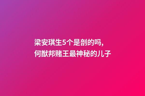 梁安琪生5个是剖的吗,何猷邦赌王最神秘的儿子-第1张-观点-玄机派