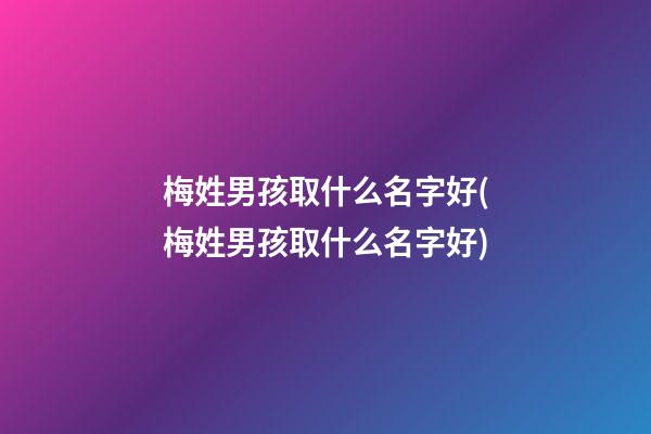 梅姓男孩取什么名字好(梅姓男孩取什么名字好)