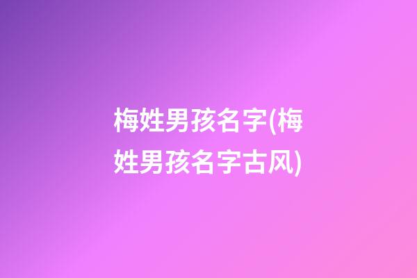 梅姓男孩名字(梅姓男孩名字古风)