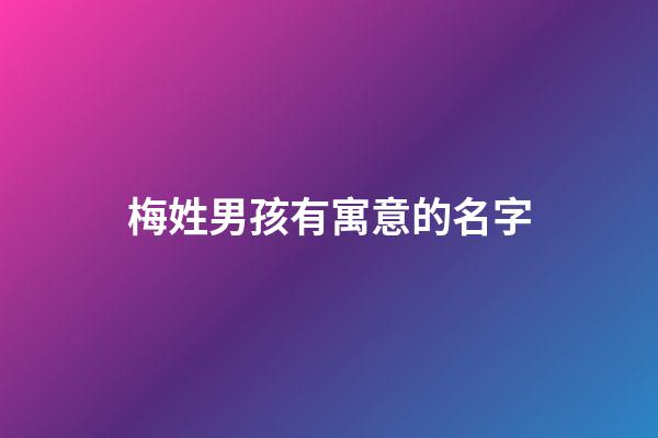 梅姓男孩有寓意的名字