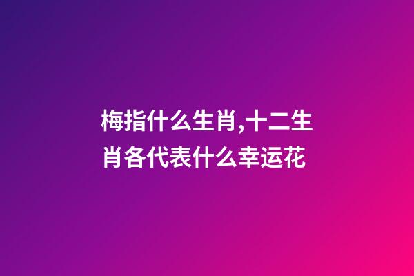 梅指什么生肖,十二生肖各代表什么幸运花-第1张-观点-玄机派