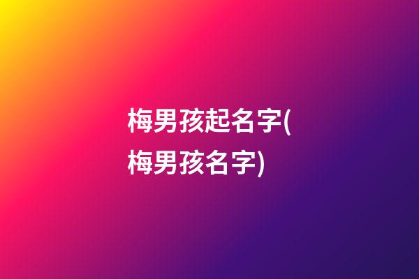 梅男孩起名字(梅男孩名字)