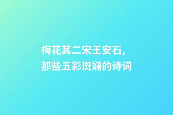 梅花其二宋王安石,那些五彩斑斓的诗词-第1张-观点-玄机派