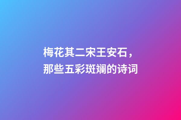 梅花其二宋王安石，那些五彩斑斓的诗词-第1张-观点-玄机派